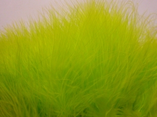 Marabou Chartreuse